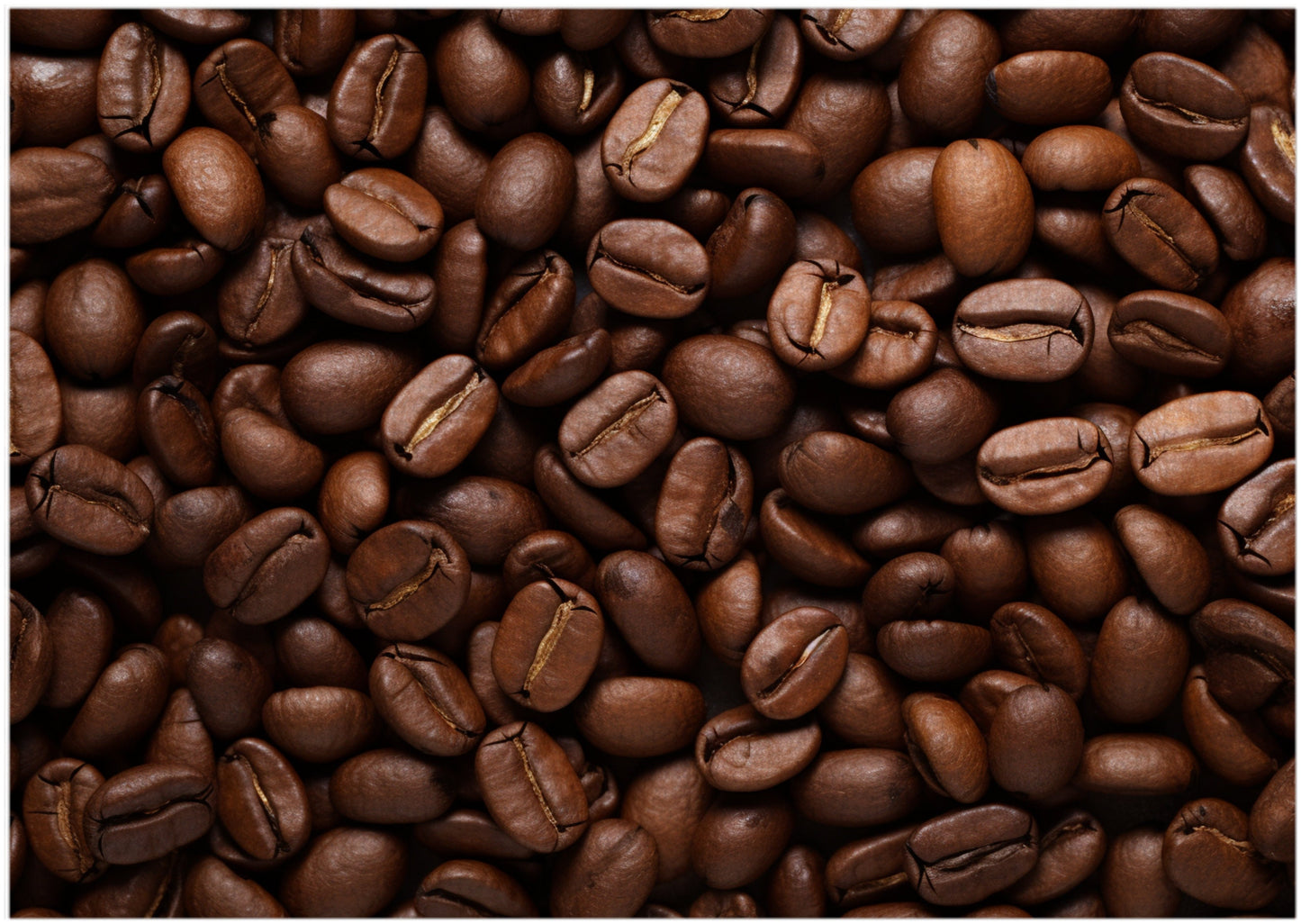 Coffee Beans Jigsaw Puzzle 300/500/1000 Piece - Difficult Puzzle as Prank Gift, Impossible Challenge to Complete
