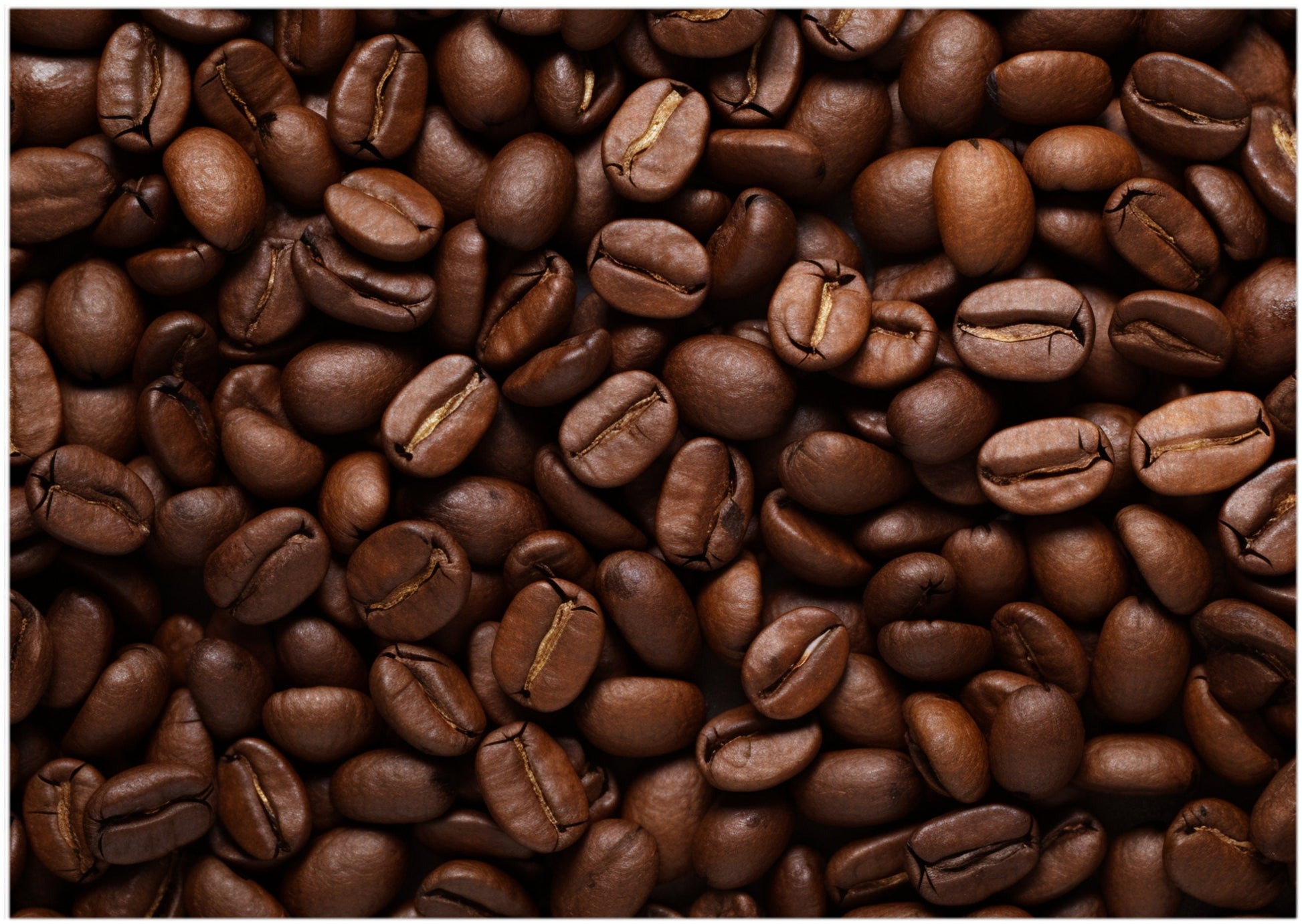 Coffee Beans Jigsaw Puzzle 300/500/1000 Piece - Difficult Puzzle as Prank Gift, Impossible Challenge to Complete